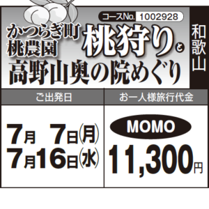 《MOMO》『かつらぎ町桃農園 "桃狩り"』と『高野山奥の院めぐり』