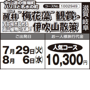 《人気コース》中山道の宿場町 ハリヨと名水の町『醒井””梅花藻””観賞』と『百花咲き乱れる 高山植物の宝庫！"伊吹山散策"』