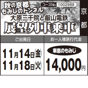 《車窓のもみじ》秋の京都 もみじのトンネル『大原三千院と叡山電鉄』展望列車乗車