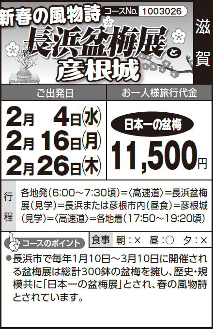 《日本一の盆梅》新春の風物詩『長浜盆梅展』と『彦根城』 - 画像 (2)