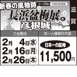 《日本一の盆梅》新春の風物詩『長浜盆梅展』と『彦根城』