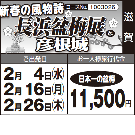 《日本一の盆梅》新春の風物詩『長浜盆梅展』と『彦根城』