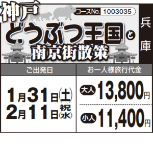 《大好き！》『神戸 どうぶつ王国』 と『南京街散策』