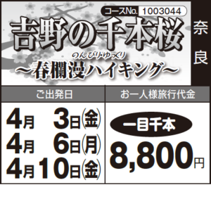 《一目千本》『吉野の千本桜』～春欄漫ハイキング～