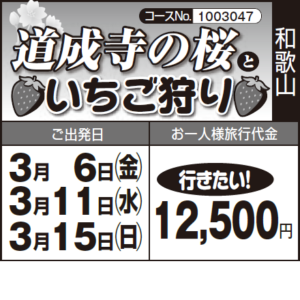 《行きたい！》『道成寺の桜』と『いちご狩り』