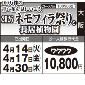 《ワクワク》100万株の青い花を見にいこう!『2026ネモフィラ祭り』と『長居植物園』