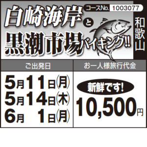 《新鮮です!》『白崎海岸』 と『黒潮市場バイキング!!』