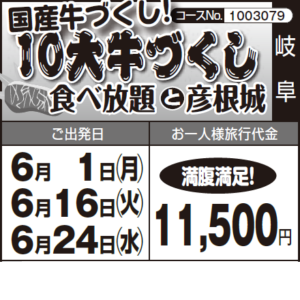 《満腹満足!》国産牛づくし!『"10大牛づくし"食べ放題』 と『彦根城』