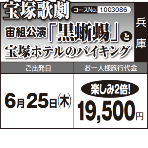 《楽しみ2倍!》『宝塚歌劇 宙組公演「黒蜥蜴」』 と『宝塚ホテルのバイキング』