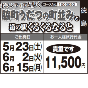 《貴重です》ボランティアと歩く『脇町うだつの町並み』 と『道の駅くるくるなると』