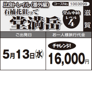 《チャレンジ!》比良トレイル(番外編)『石楠花狙って堂満岳』《登山初級+4》