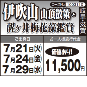 《価値あり！》『伊吹山山頂散策』と『醒ヶ井梅花藻鑑賞』