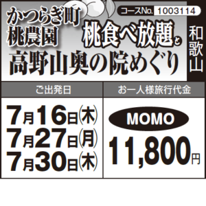 《MOMO》『かつらぎ町 桃農園"桃食べ放題"』と『高野山奥の院めぐり』